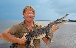 Muere Steve Irwin, el cazador de cocodrilos