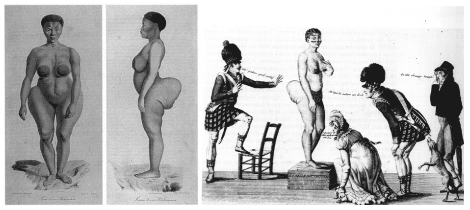 Sara Baartman, «la Venus Hotentote»