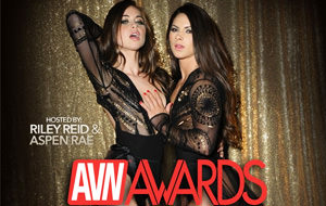 Los ganadores de los premios AVN Awards 2017