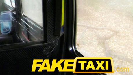 Fake Taxi