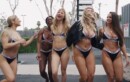 La demanda que puede hundir al imperio del porno fino de Vixen Media Group